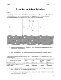Mutation rates and selection strengths with imaginary creatures natural selection with bunnies and. Evolution By Natural Selection