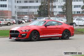 Spied 2020 Shelby Gt500 In Race Red And Grabber Lime 2015 S550 Mustang Forum Gt Ecoboost Gt350 Gt500 Bullitt Mustan Shelby Gt500 Ford Mustang Gt500