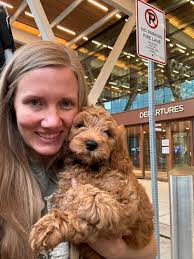 Dogwood Country Doodles