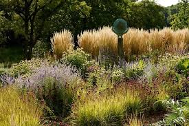 Adam Woodruff Garden Landscaping Plant Combinations Plants