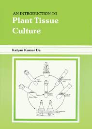Check spelling or type a new query. An Introduction To Plant Tissue Culture Kalyan Kumar De Ebook Fixed Page Etextbook Pdf Abe Pl