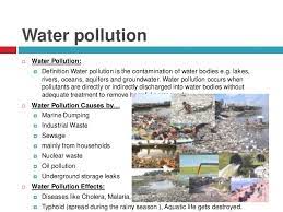 General, art, business, computing, medicine, miscellaneous, religion, science, slang, sports, tech, phrases. Water Pollution