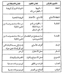 إعجاز آيات القرآن في بيان خلق الإنسان الفصل الأول بداية خلق الكون وخلق آدم وحواء