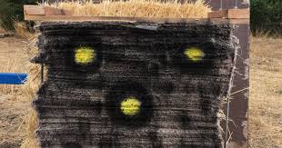 Target shooting range for my kids. Diy Archives Hunt Fish Harvest