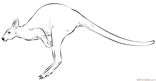 How To Draw A Hopping Kangaroo Step By Step Drawing Tutorials Drawing Tutorial Kangaroo Drawing Koala Drawing