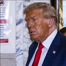 We really messed up coining the term "orange man" in 2016 because it's just  gotten progressively more absurd since