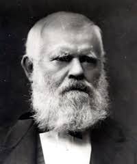 Thomas Holt (Australian politician)