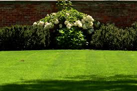 Looking for ways to give your backyard a makeover? Simple Landscaping Makeover Ideas