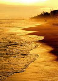 Yellow Sea Yellow Sea Landscape Nature Pictures