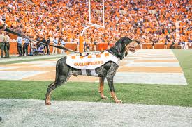 College football teams have mascots. Mascots University Of Tennessee Athletics