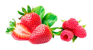 Negli ultimi decenni si sono affermate in coltura specializzata, accanto al pesco, altre produzioni frutticole come il ciliegio e l'albicocco. Index It Viveros California Plantas De Fresas