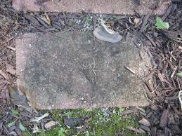 Painted bricks create a clean, monochrome appearance. How To Clean A Garden S Brick Walkway Hometalk