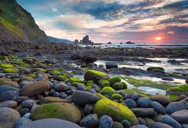 Tons of awesome samsung galaxy tab a wallpapers to download for free. 49 Free Samsung Tablet Wallpaper On Wallpapersafari