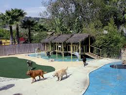 When bringing your dog to daycare at pet paradise you know they'll be cared for like family. Paradise Ranch Pet Resort Pet Boarding And Daycare Magazine