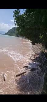 Consultá 57 fotos y videos de pantai merdeka tomados por miembros de tripadvisor. Suasana Di Pantai Merdeka Hari Ini Info Sungai Petani