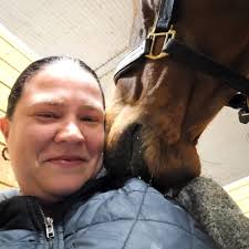 Equine bodywork business growth and transformation