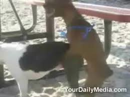 Молодые стимулирует себя оригинально - BEST XXX TUBE