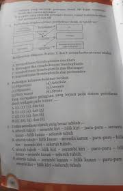 Kunci jawaban ipa kelas 8 semester 1 halaman 283 gudang kunci. Ka Tolong Kasih Kunci Jawaban Ipa Uji Kompetensi Bab 6 Sistem Peredaran Darah Manusia Hal 283 286 Brainly Co Id