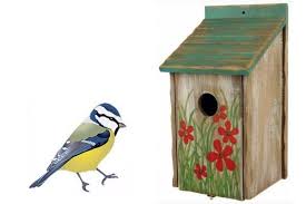 Comment Attirer Les Oiseaux Dans Un Nichoir Auberdog En 2020 Nichoir Nichoir Mesange Plan Nichoir