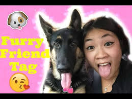 Furry Friend Tag
