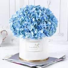 Maybe you would like to learn more about one of these? Flower Delivery In Bangalore Send Flowers To Bangalore In 4 Hours