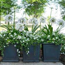 Plant Pots That Wow Potted Plants Outdoor Plants Southern Living Plants