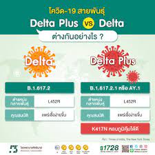 Maybe you would like to learn more about one of these? Covid 19 4 à¸ªà¸²à¸¢à¸ž à¸™à¸˜ à¸­ à¸™à¸•à¸£à¸²à¸¢à¹ƒà¸™à¹„à¸—à¸¢à¸— à¸• à¸­à¸‡à¸£à¸°à¸§ à¸‡ à¹‚à¸£à¸‡à¸žà¸¢à¸²à¸šà¸²à¸¥à¸¨ à¸„à¸£ à¸™à¸—à¸£