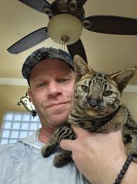 Found cat in Port Orange, Commonwealth estates