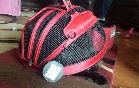 Check spelling or type a new query. Angel S Eyes Traveling Journey With Sleepypod Laptrinhx News