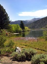 Welcome to the bishop rv park & campground located just 2 blocks off of main street (us 395) in. Creekside Rv Park Bishop California Us Parkadvisor