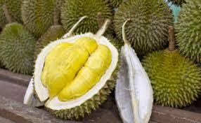 10 popular durian stores in singapore. Types Of Durians Malaysia Durians Com