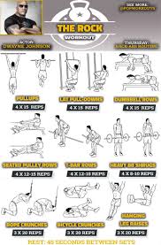 Best Back Workout Routine Best Laptop