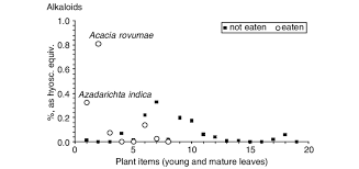 Image result for Acacia rovumae