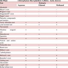 Image result for Chlorophytum macrophyllum