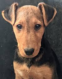 Cranberry Cove II Farm