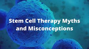The Truths and Myths About Stem Cell Therapy - StemCures