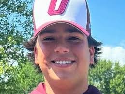 Greater Lansing high school boys golf Dream Team, all-area