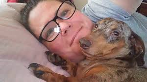 Family travels with doberman and dachshund in rv