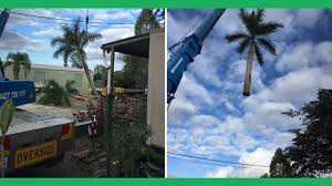 Click here to see all results. Garwood Tree Services Tree Stump Removal Services Jimboomba Yellow Pages