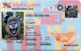 You must go to a mva office to get an id. Damascus Cougars Cheer Poms Cheer And Pom Practice Starts Monday Aug 20th Does Your Daughter Have A Current Md Id Maryland Identification Cards Are Mandatory For All Players To Participate