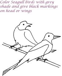 Push pack to pdf button and download pdf coloring book for free. Seagull Birds Printable Coloring Page For Kids