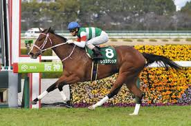 #35 trending now • 27.8k tweets • explore '高松宮記念' and other trends in 400+ locations worldwide. Lpmi01ez8qi80m