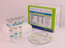 There are two common types: Hsv Test Kit Eg 90062 Uni Elisabeth Pharmacon Spol Herpes Serum Plasma