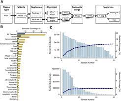 Atlas Of Transcription Factor Binding Sites From Encode Dnase Hypersensitivity Data Across 27 Tissue Types Sciencedirect