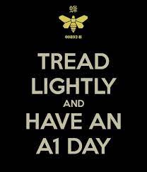 tread lightly and have an a1 day breaking bad better call saul best tv shows