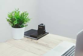 Beautiful monstera flower in a white pot stands on a wooden table on a white background. Hd Wallpaper Black Teleconverter Beside Green Leaf Potted Plant Near Silver Laptop On White Wooden Table Wallpaper Flare