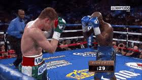 The best memes from instagram, facebook, vine, and twitter about boxing gif. Best Everlast Boxing Gloves Gifs Gfycat