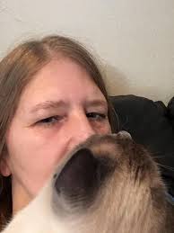 I got this cat tonight. Need a sweet female name please.❤️❤️