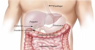 Con l'aiuto di uno specialista, vediamo questa situazione causa il reflusso gastroesofageo di acido/pepsina, che ha sintomi caratteristici anche in questo caso la necessaria terapia farmacologica e l'alimentazione possono essere uno dei. 10 Alimenti Per Combattere Il Reflusso Gastrico