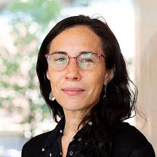 AI Distinguished Lecture Series